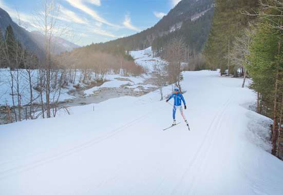 Langlauf-Skating kombiniert Naturgenuss mit intensivem Ganzkörpertraining 