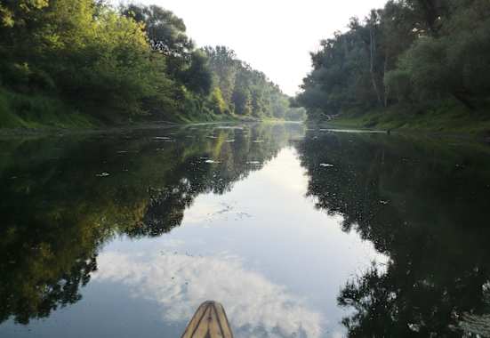 Nationalpark Donau-Auen östlich von Wien