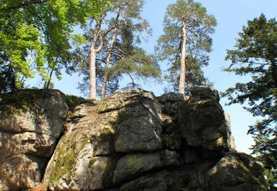 Die Natur am Kühstein im Böhmerwald erleben.