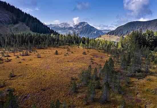 Wilde Moorlandschaft mit Aussicht auf die Entlebucher Bergwelt