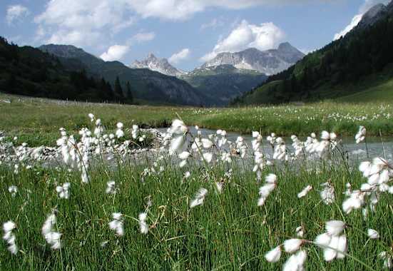 Wandern im Naturpark Riedingtal
