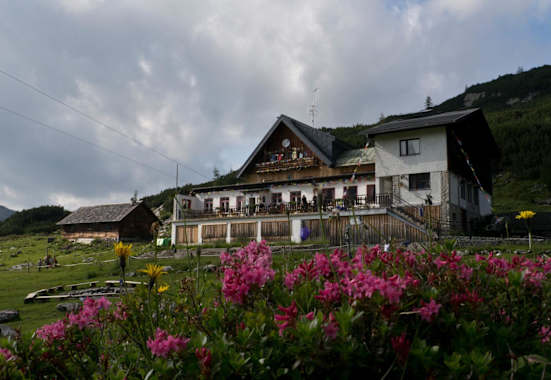 Die auf 1.738 m Höhe gelegene Gjaid-Alm am Krippenstein in Oberösterreich sucht neue Pächter 