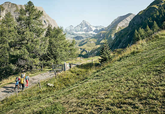 Vom Osttiroler Ködnitztal hat man einen besonders schönen Blick auf den 3.798 Meter hohen Großglockner.