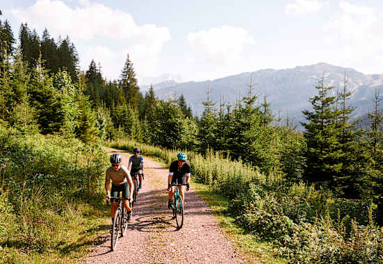 Gravelbikes Test 2019