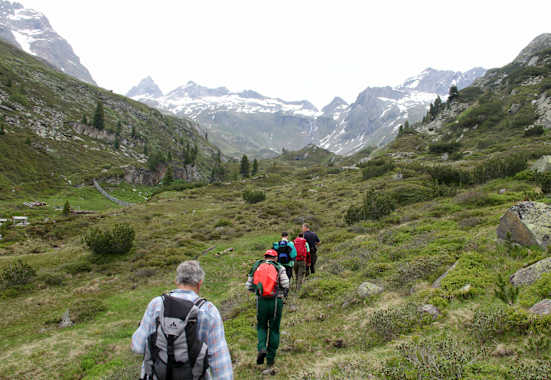 Bergwaldprojekts Schwarzensteinkees