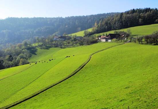 Grimmenstein-Wanderung