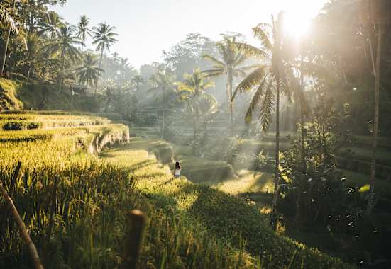 Tropen-Idylle in Indonesien