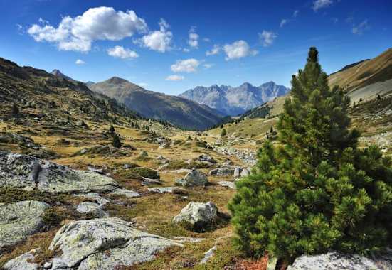Der Jakobsweg Graubünden führt die Pilgern durch die schönsten Gebiete der Region Graubünden.
