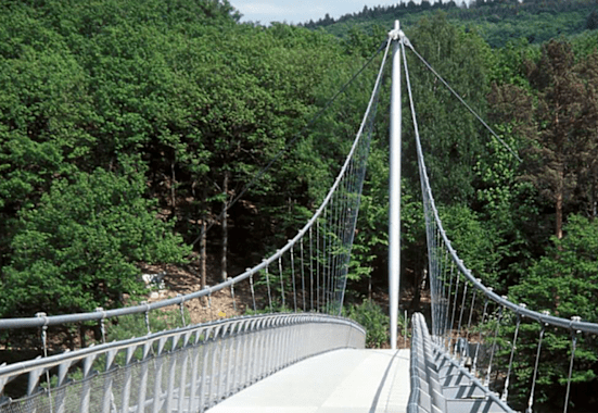 Leichte und landschaftlich wunderschöne Rundwanderung im Nationalpark Eifel in Nordrhein-Westfalen.