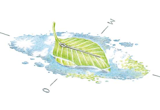 Schwimmender Kompass