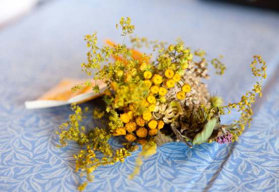 Kräuter konservieren