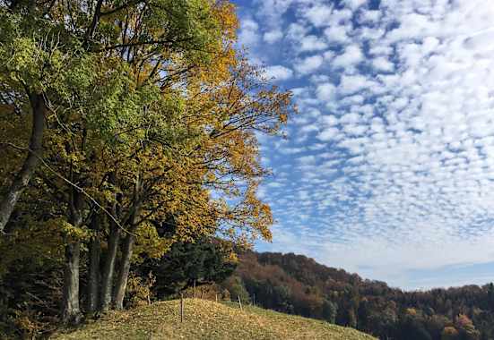 Bunte Wanderungen für den Herbst