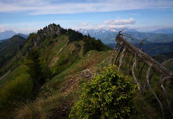 Langlackenmauer im Reichraminger Hintergebirge
