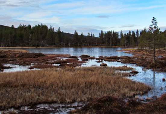 Wandern in Lappland