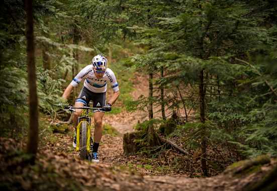 Lars Forster Mountainbike