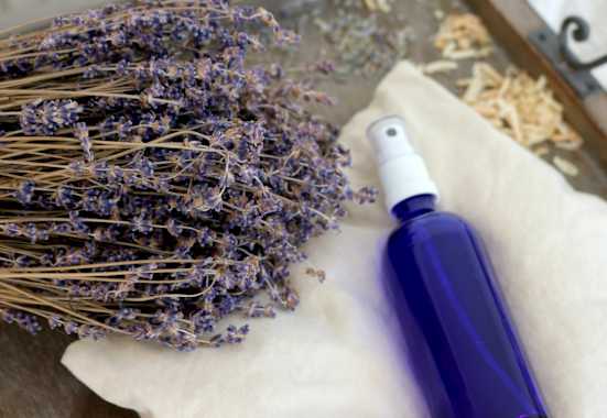 Lavendelöl mit firschem Lavendel