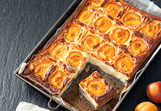 Topfen-Mohn-Marillen-Kuchen