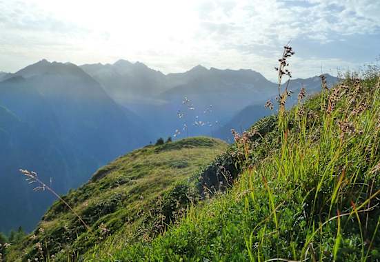 Morgenstimmung am Berg