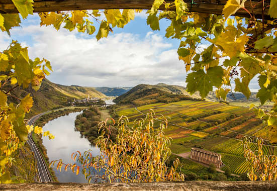 Die Moselschleife in Rheinland-Pfalz im Herbst