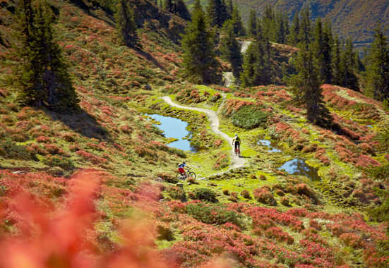 Hacklberg Trail mit dem Mountainbike