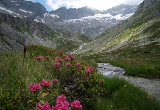 Das Zillertal - hier mitten im Hochgebirgsnaturpark Zillertaler Alpen