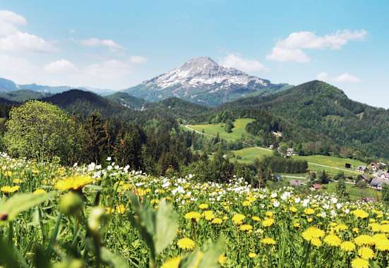 Der Ötscher im Frühling