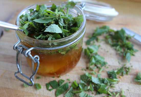 Kräuter Oxymel angerichtet mit Kräutern