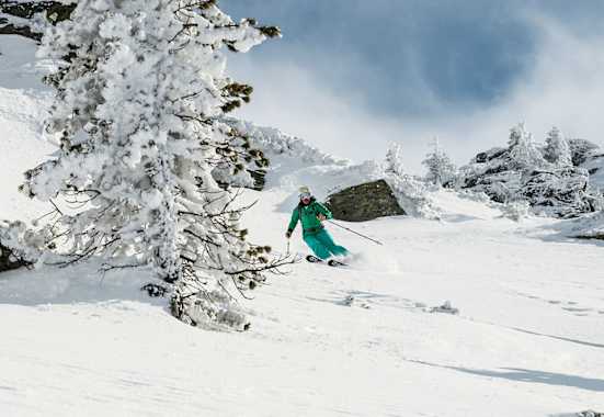 Freeriden Planneralm