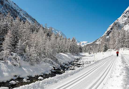 Langlaufen in Pontresina
