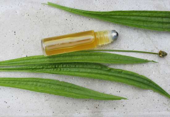 Roll-On mit Spitzwegerich