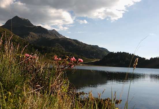 Der Obersee am Staller Sattel