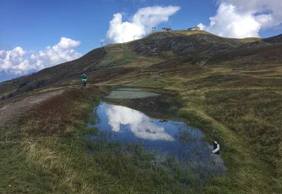 Bei 270 Pistenkilometern ist für jeden etwas dabei. 