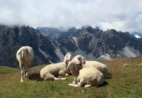 Die Saile ist ein janusköpfiges „Bergwahrzeichen“ zwischen Innsbruck und dem Stubai.