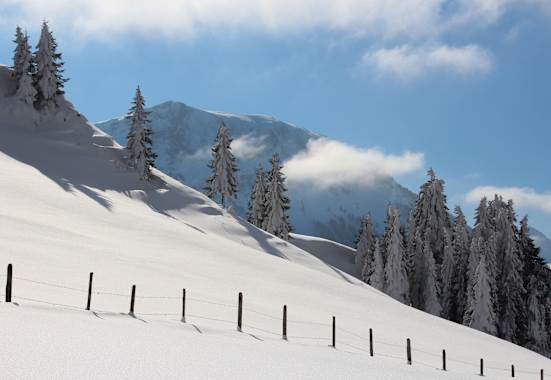 Mit Schneeschuhen durch den Winter
