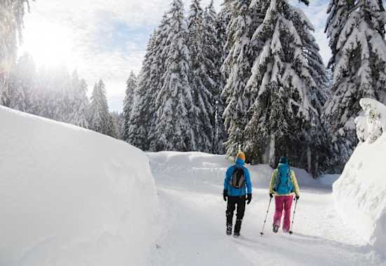 Seefeld Winterweitwanderweg 
