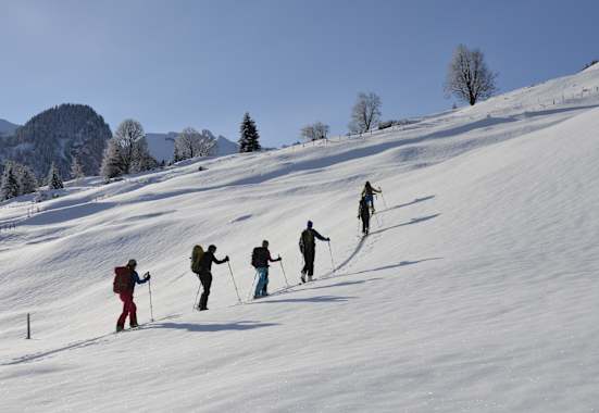 Schneeschuhwandern am Twäregg Trail