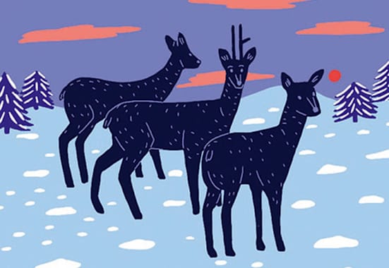 Den Lebensraum von Tieren gilt es zu schützen