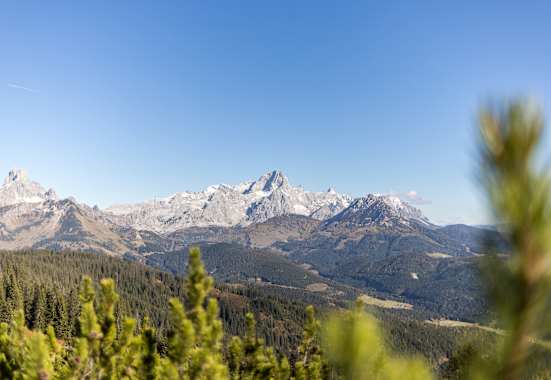 Blick vom Gerzkopf auf das Dachsteinmassiv