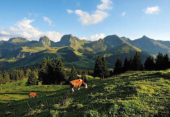 Schweiz Naturpark Gantrisch im Kanton Bern