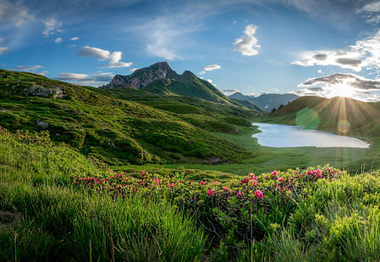 Der Zollnersee in Kärnten, saftige Almwiesen