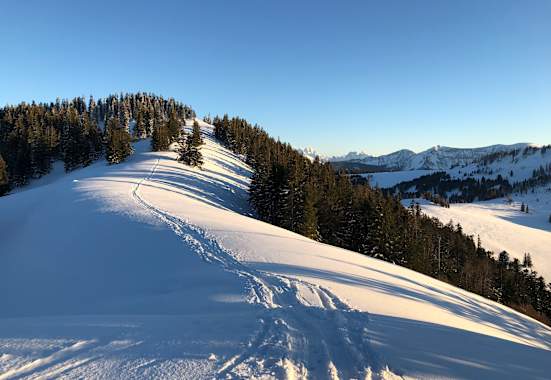 Feierabendrunde auf´s Zwölferhorn