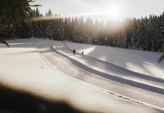Langlaufen ist eine der gesündesten Winteraktivitäten.