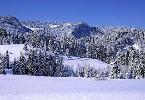 Hörnergruppe: Die verschneiten Allgäuer Vorberge in Bayern