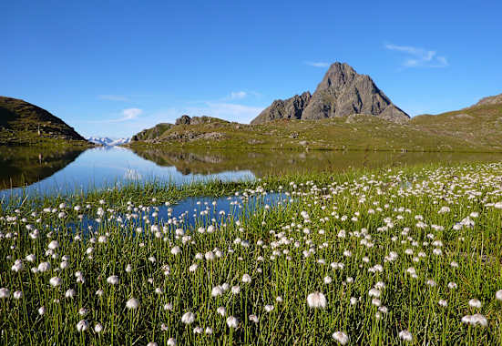 Lasörling Höhenweg in Osttirol: Am Arnitzsee im Virgental