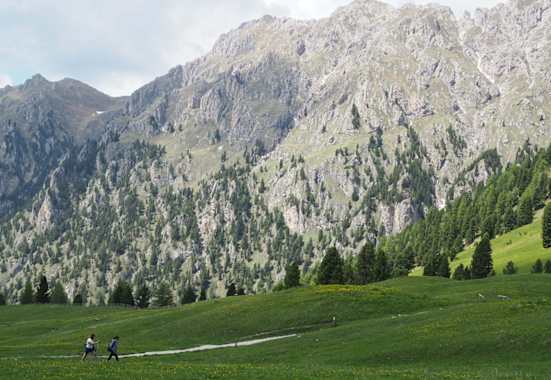 Der Aufstieg zum Zendler Kofel beginnt gemütlich...