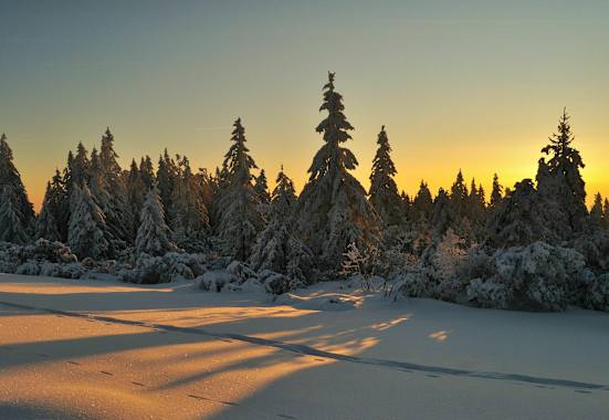 Schwarzwald im Winter: Baiersbronn in Baden-Württemberg