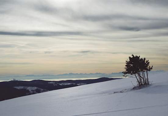 Belchengipfel im Schwarzwald