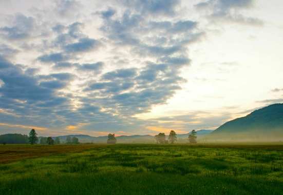 Bergener Moos im bayerischen Chiemgau