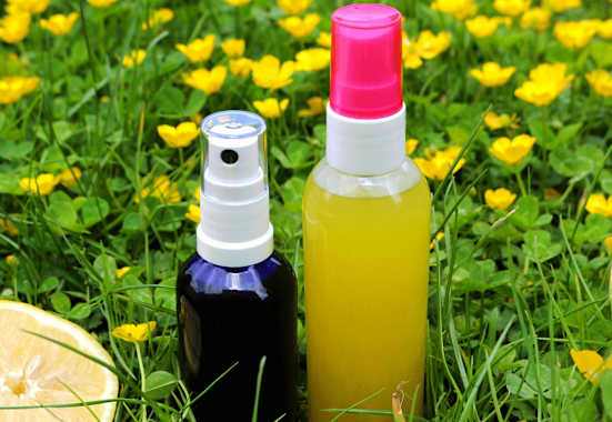 Selbstgemacht: Zitronen- und Salbeideo