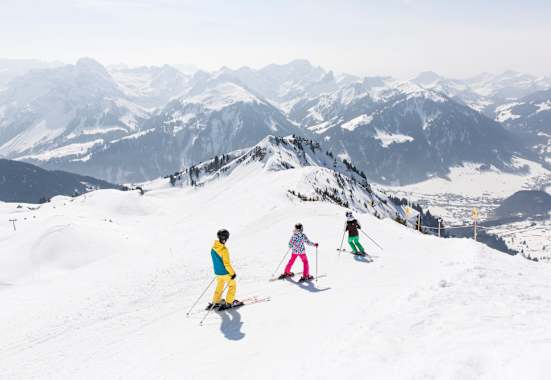 Bergwelten Skigebiete